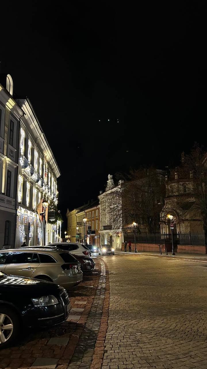 Vilnius Town Square Apartments Self Check-In 24H By H&H エクステリア 写真